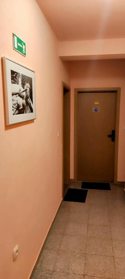 Villa Dm Baška Voda Kültér fotó